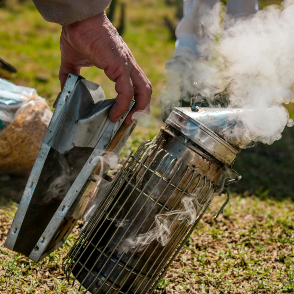 Essential Beekeeping Equipment: 6 Must-Have Tools for an Unstoppable Apiary Success