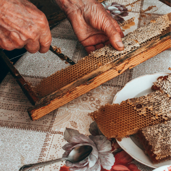 Essential Beekeeping Equipment: 6 Must-Have Tools for an Unstoppable Apiary Success