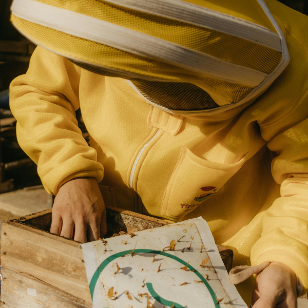 Top 10 Benefits of Propolis: How It Supports Bee Colony Health and Survival