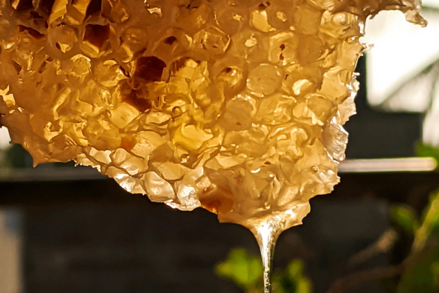 Raw honey vs Processed honey: 1 Amazing Benefit, Differences, and How to Choose